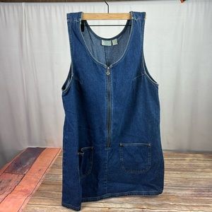 1X denim dress